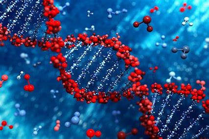 Biochemistry Testing Image