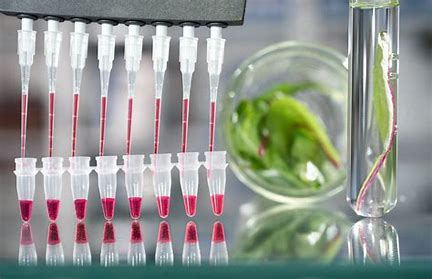 DNA Extraction Image