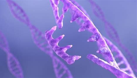 DNA and RNA Measurements Image