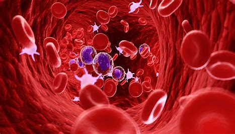 Hematology Testing Image
