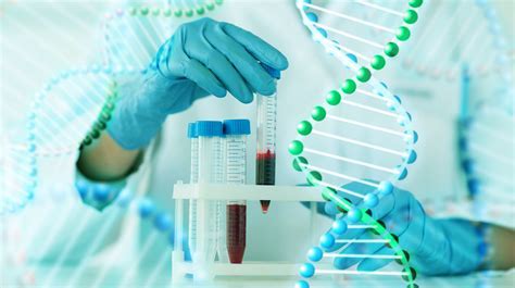 Paternity Testing Image