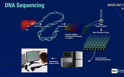 Sequencing Image